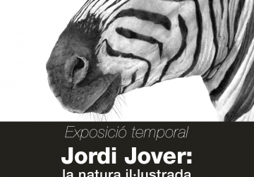 Cartel exposición Jordi Jover