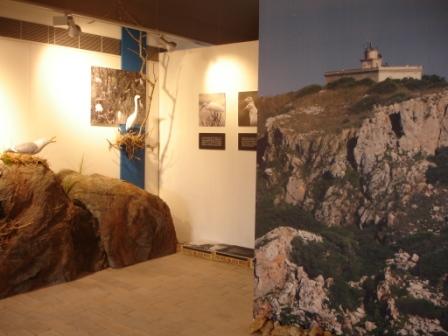 Fotografia sala interior exposició Mediterrània Viva, entre dues aigües